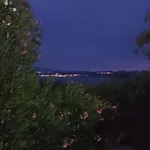 Mira دْغاماي