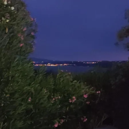 Mira 德拉马利